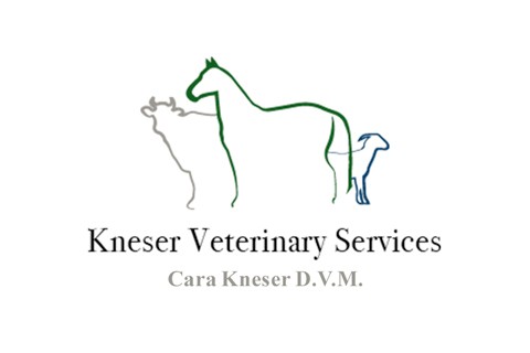 Kneser Veterinary Services